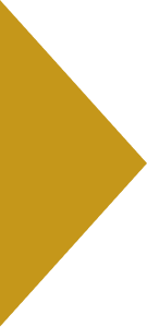 Polygon 1