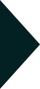 Polygon 3